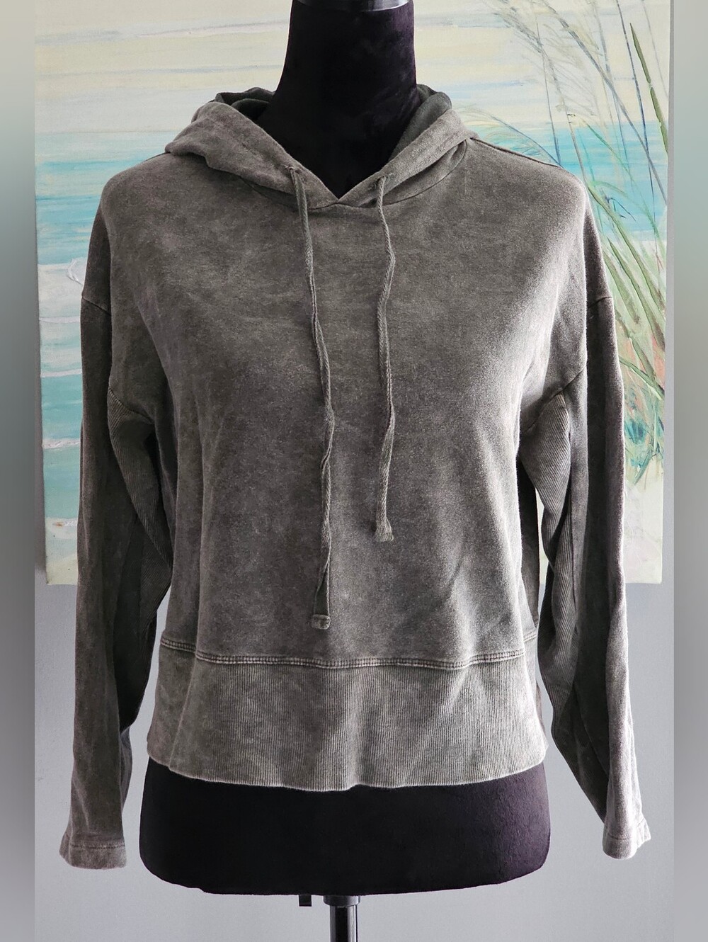Anthropologie T.la Hoodie